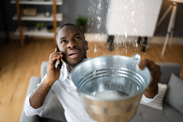 Best Water damage cleanup near me  in Fairmount, GA