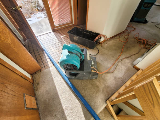 Best 24-hour water damage restoration  in Fairmount, GA