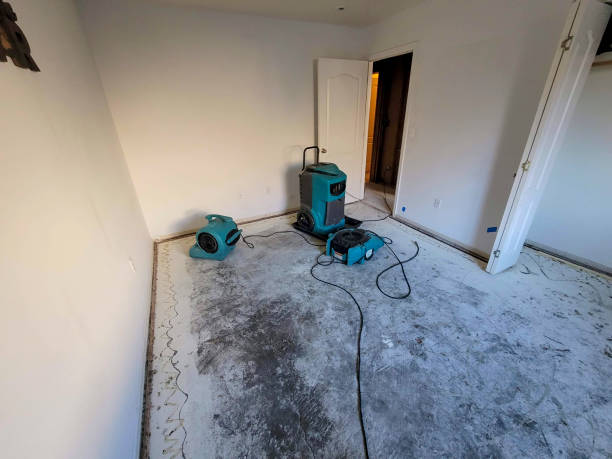 Best Sewage cleanup and water damage restoration  in Fairmount, GA