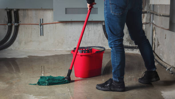 Best Flood restoration services  in Fairmount, GA