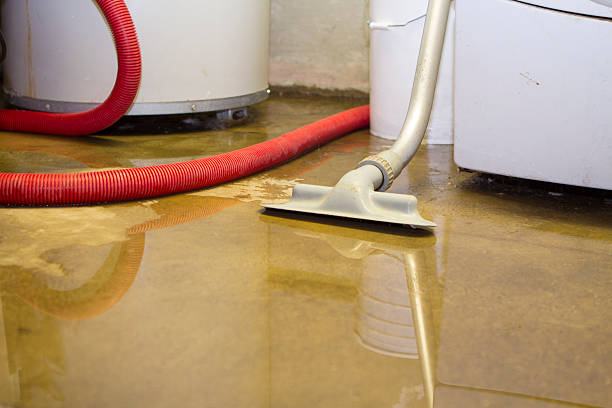 Best Flood damage cleanup  in Fairmount, GA