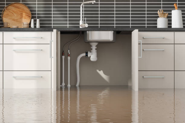 Best Flood restoration services  in Fairmount, GA