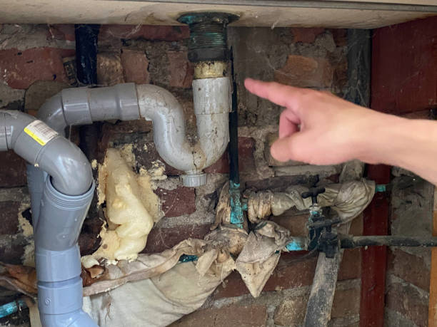 Best Mold removal after water damage  in Fairmount, GA