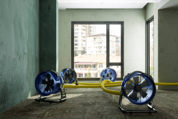 Best Mold removal after water damage  in Fairmount, GA